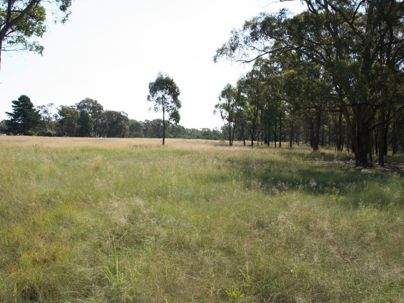 Strathbogie Road, Emmaville NSW 2371