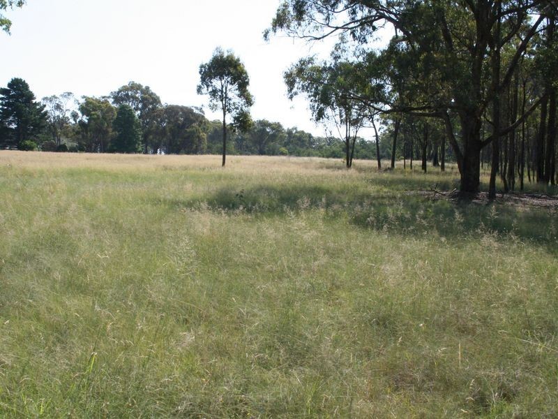 Strathbogie Road, Emmaville NSW 2371