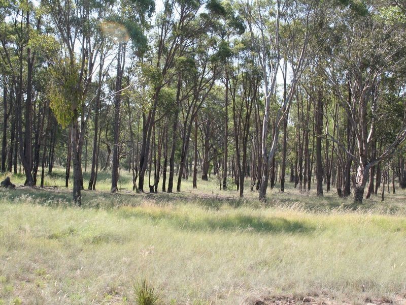 Strathbogie Road, Emmaville NSW 2371