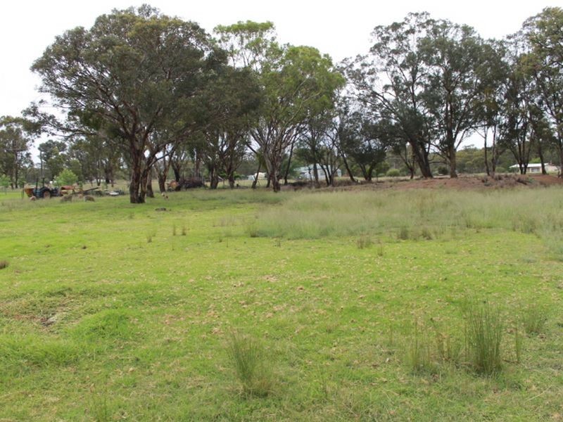 35 Moore Street, Emmaville NSW 2371