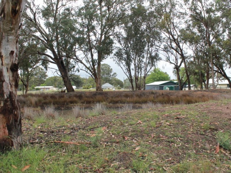 35 Moore Street, Emmaville NSW 2371