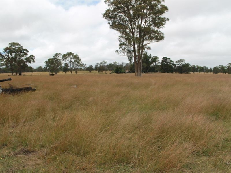 Lot 318 Torrington Rd, Deepwater NSW 2371