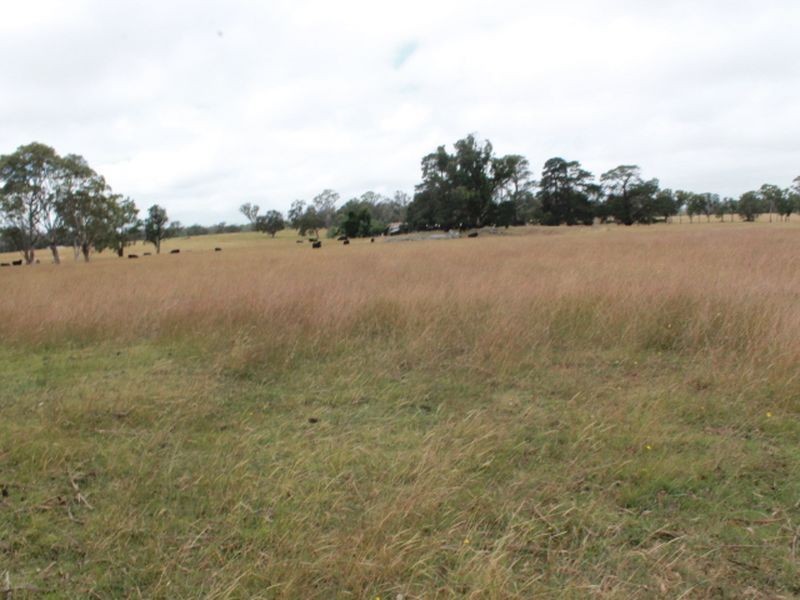 Lot 318 Torrington Rd, Deepwater NSW 2371