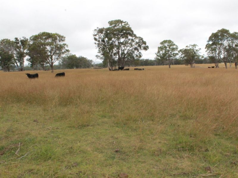 Lot 318 Torrington Rd, Deepwater NSW 2371