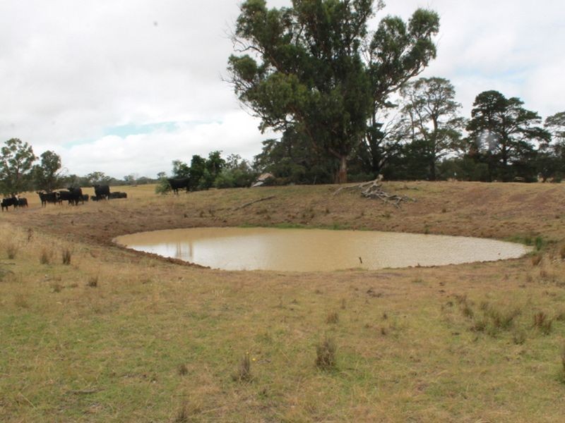 Lot 318 Torrington Rd, Deepwater NSW 2371