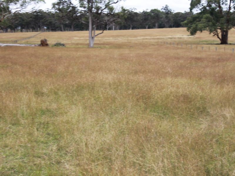 Lot 318 Torrington Rd, Deepwater NSW 2371