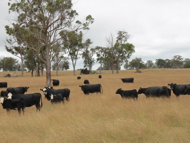 Lot 318 Torrington Rd, Deepwater NSW 2371