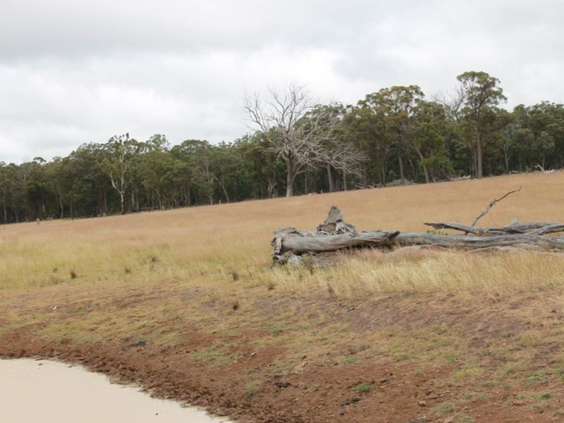 Lot 318 Torrington Rd, Deepwater NSW 2371