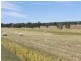 392 Carrot Farm Road, Glen Innes NSW 2370