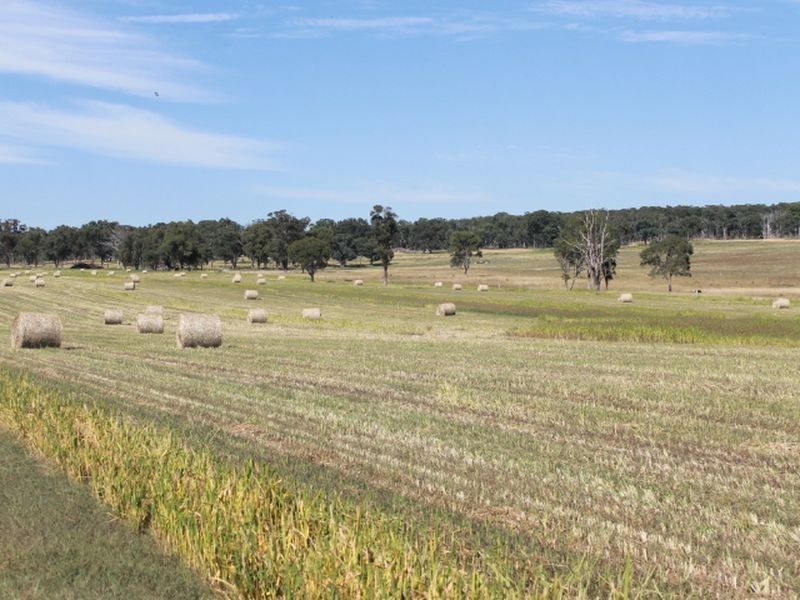 392 Carrot Farm Road, Glen Innes NSW 2370