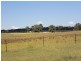 392 Carrot Farm Road, Glen Innes NSW 2370