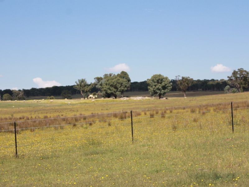392 Carrot Farm Road, Glen Innes NSW 2370
