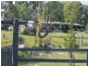 392 Carrot Farm Road, Glen Innes NSW 2370