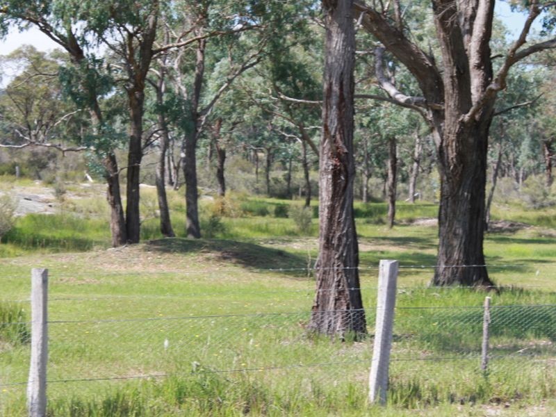 392 Carrot Farm Road, Glen Innes NSW 2370