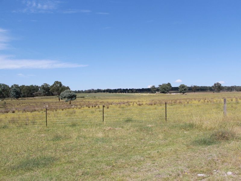 392 Carrot Farm Road, Glen Innes NSW 2370