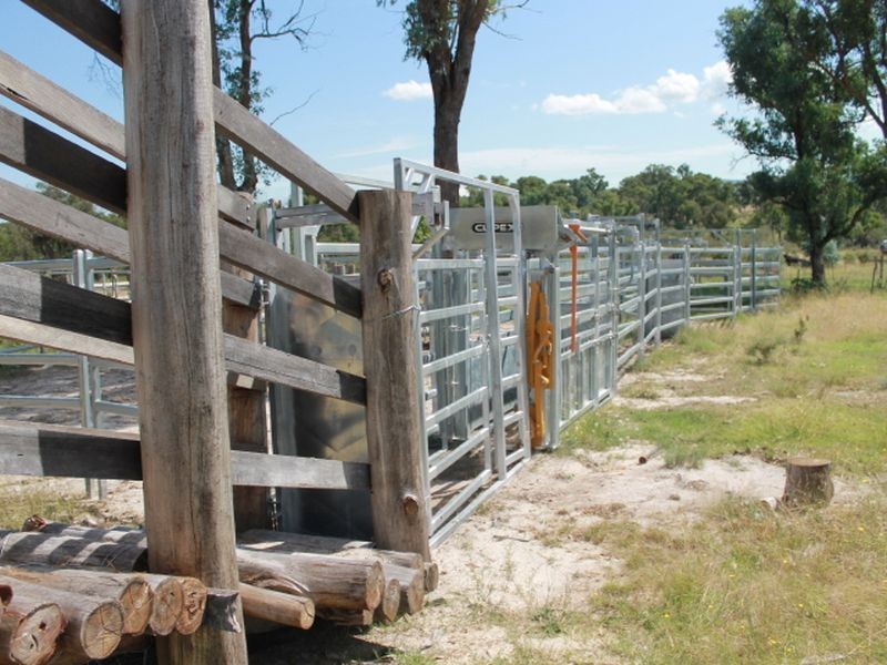 392 Carrot Farm Road, Glen Innes NSW 2370