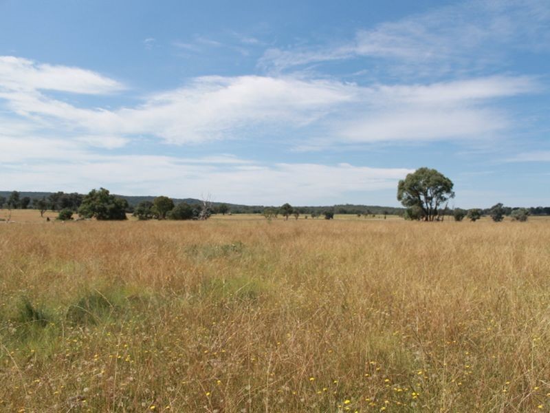 392 Carrot Farm Road, Glen Innes NSW 2370
