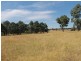 392 Carrot Farm Road, Glen Innes NSW 2370