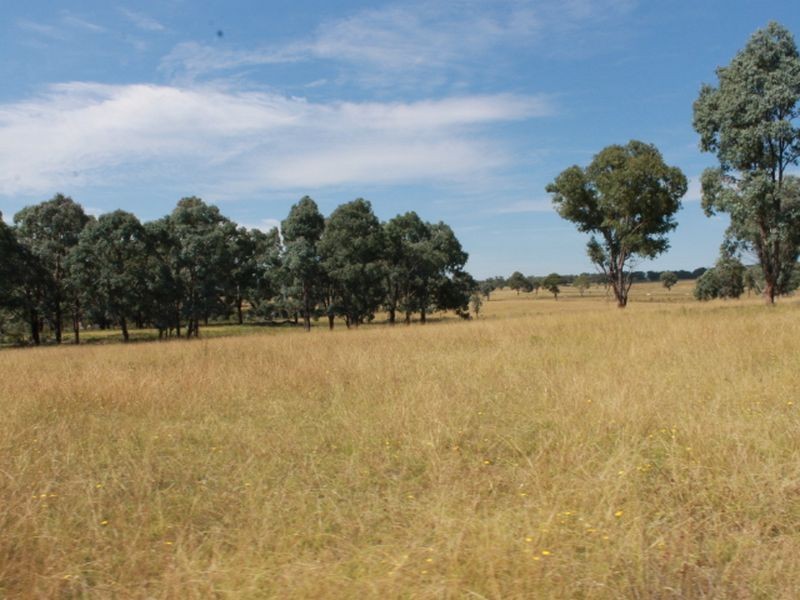 392 Carrot Farm Road, Glen Innes NSW 2370