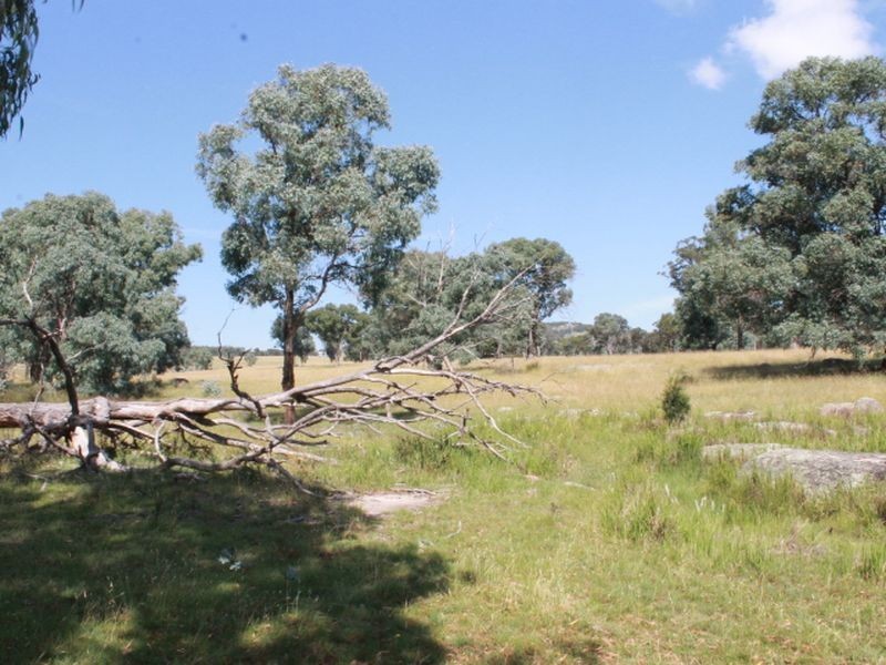 392 Carrot Farm Road, Glen Innes NSW 2370