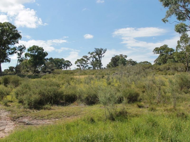 392 Carrot Farm Road, Glen Innes NSW 2370