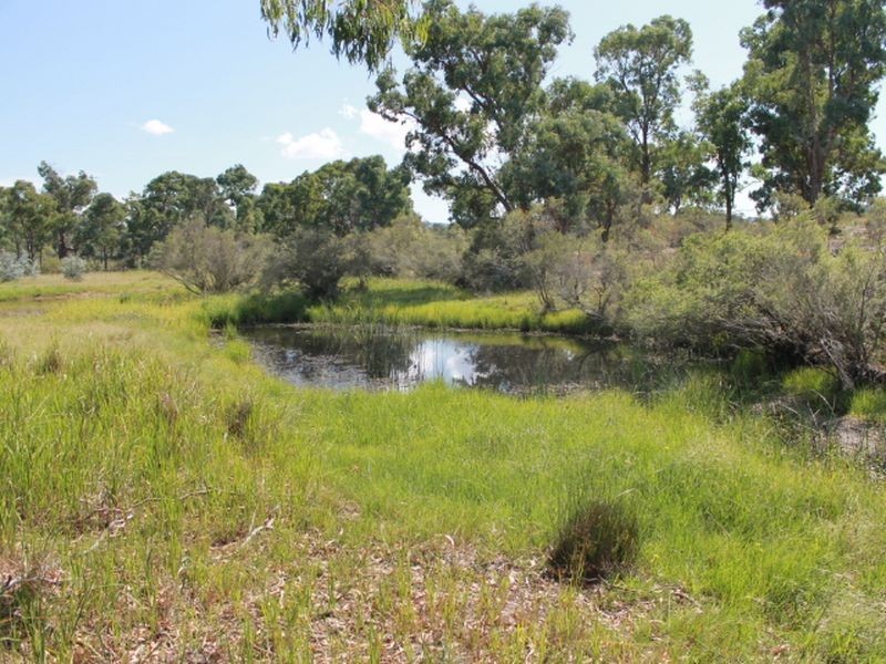392 Carrot Farm Road, Glen Innes NSW 2370