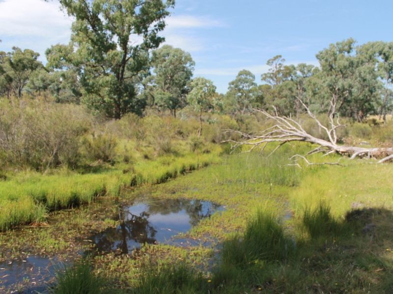 392 Carrot Farm Road, Glen Innes NSW 2370