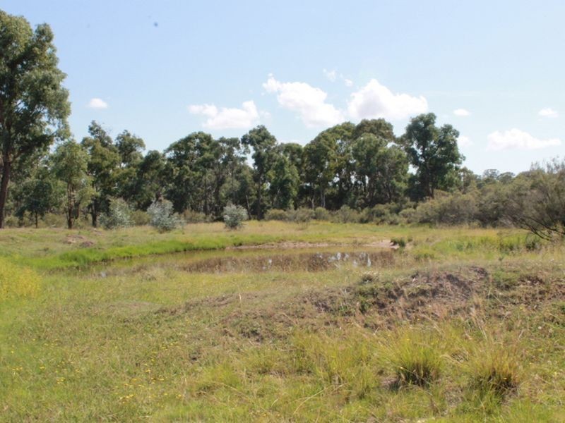 392 Carrot Farm Road, Glen Innes NSW 2370