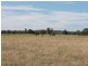392 Carrot Farm Road, Glen Innes NSW 2370
