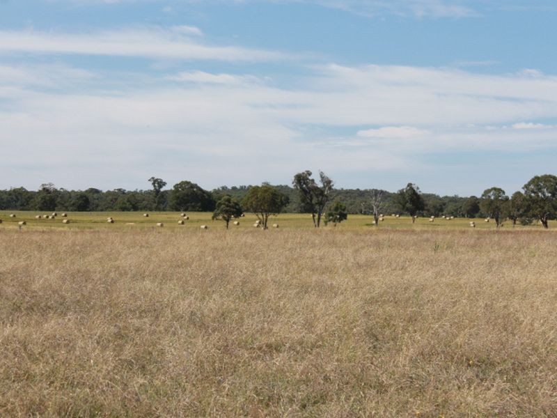 392 Carrot Farm Road, Glen Innes NSW 2370