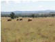 392 Carrot Farm Road, Glen Innes NSW 2370