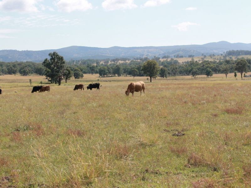 392 Carrot Farm Road, Glen Innes NSW 2370