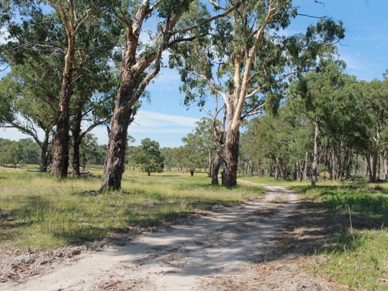 392 Carrot Farm Road, Glen Innes NSW 2370