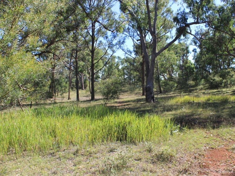 Cadell Road, Emmaville NSW 2371