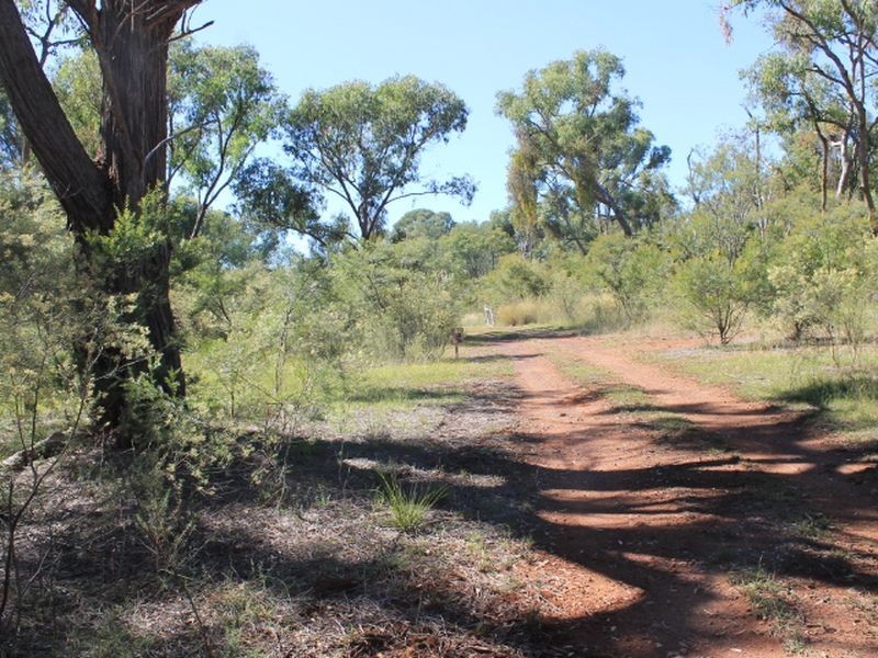 Cadell Road, Emmaville NSW 2371