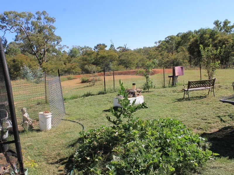 Cadell Road, Emmaville NSW 2371