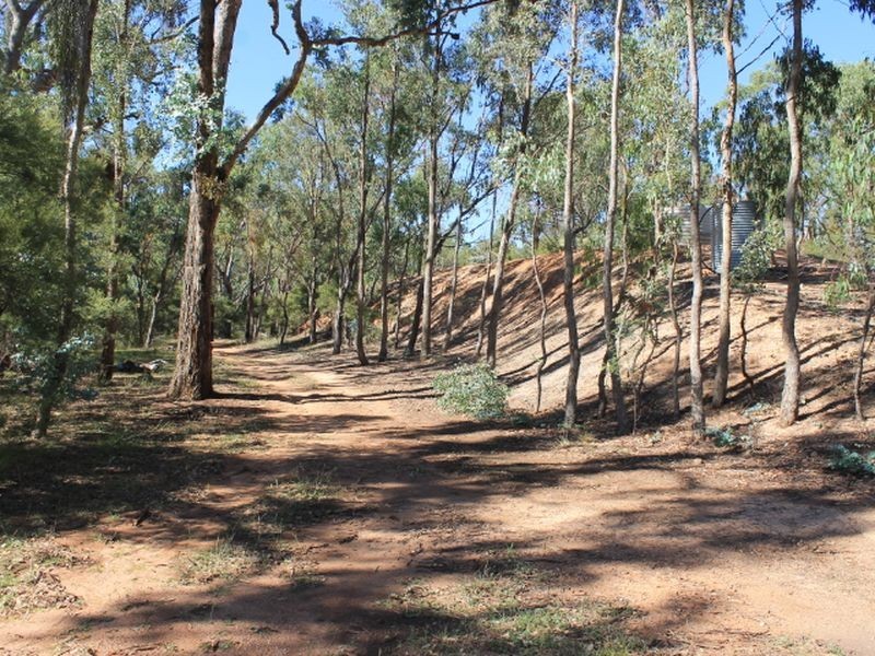 Cadell Road, Emmaville NSW 2371