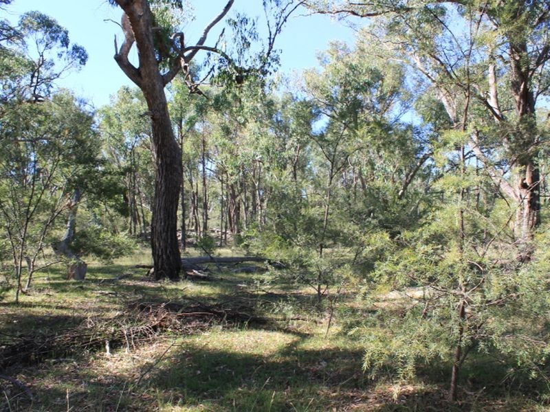 Cadell Road, Emmaville NSW 2371