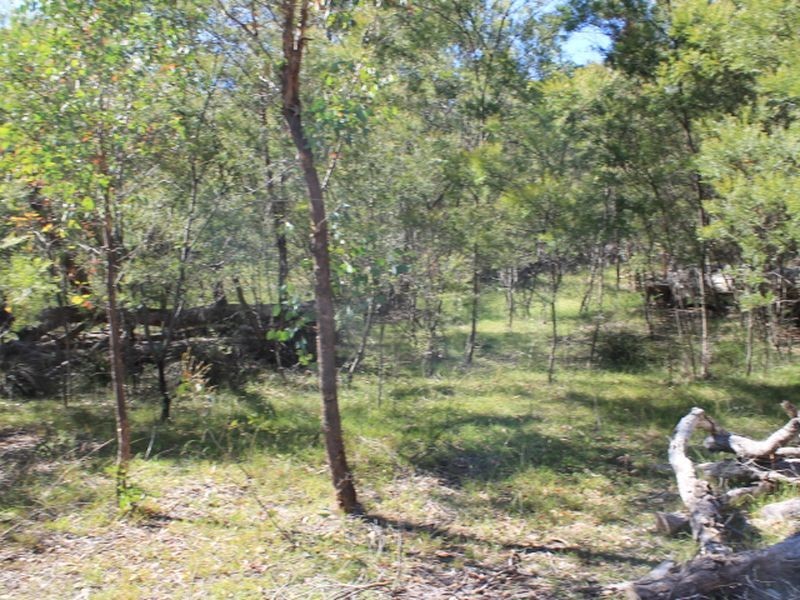 Cadell Road, Emmaville NSW 2371