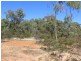 Cadell Road, Emmaville NSW 2371