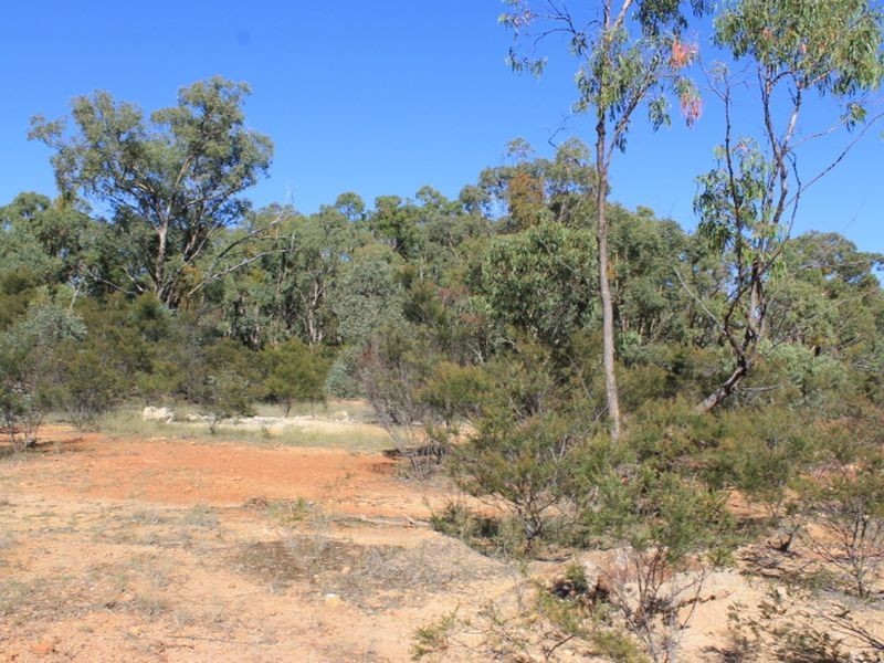 Cadell Road, Emmaville NSW 2371