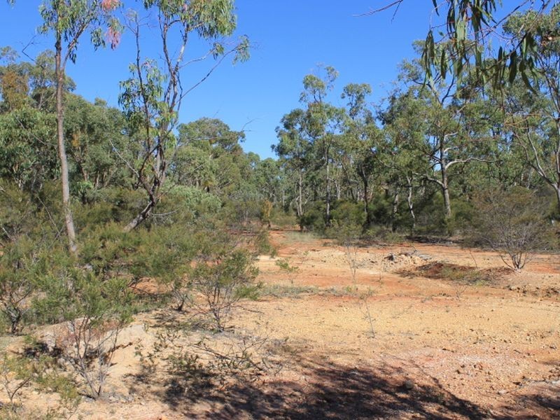 Cadell Road, Emmaville NSW 2371