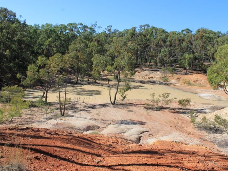 Cadell Road, Emmaville NSW 2371