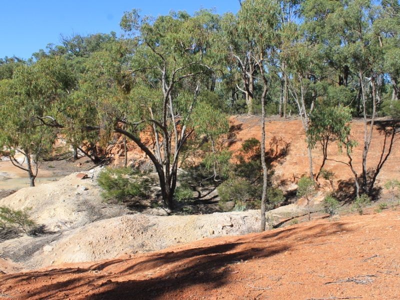 Cadell Road, Emmaville NSW 2371