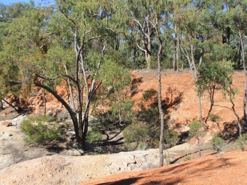 Cadell Road, Emmaville NSW 2371