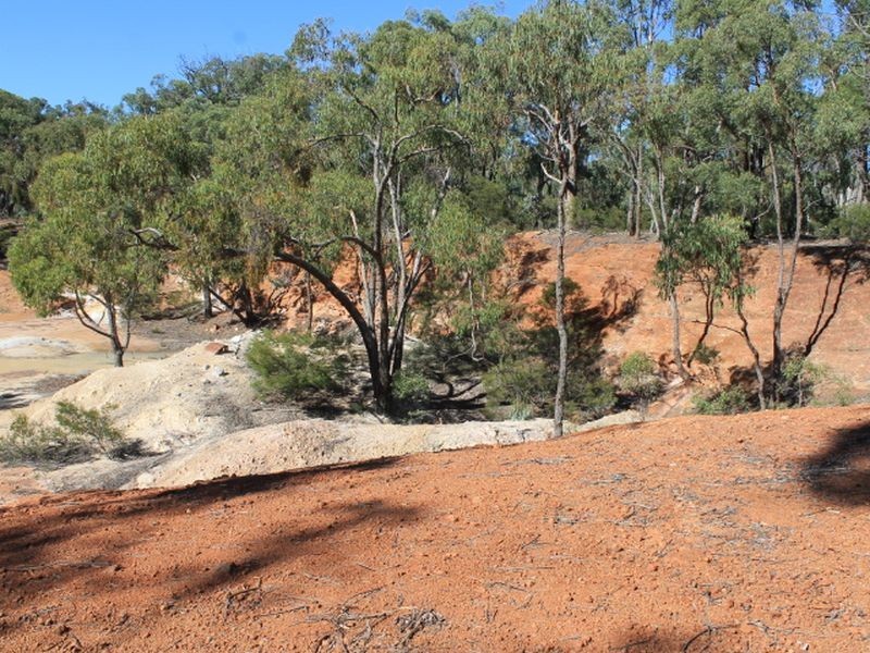 Cadell Road, Emmaville NSW 2371