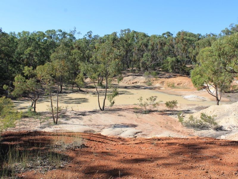 Cadell Road, Emmaville NSW 2371