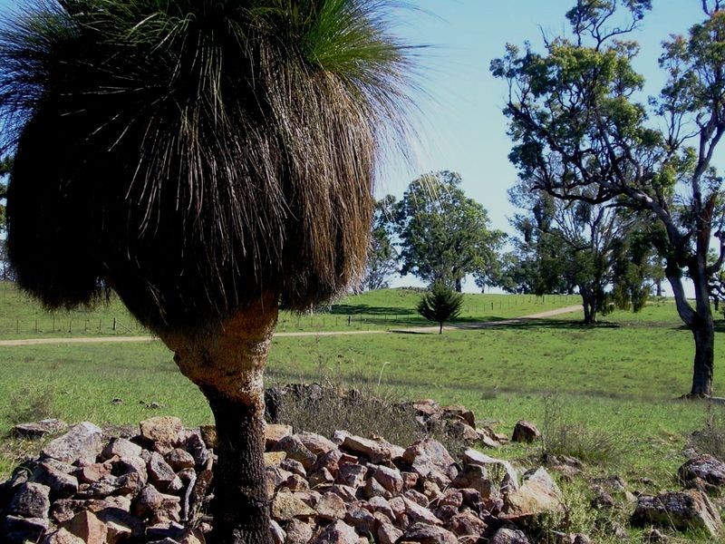 5027 Kings Plains, Wellingrove NSW 2370