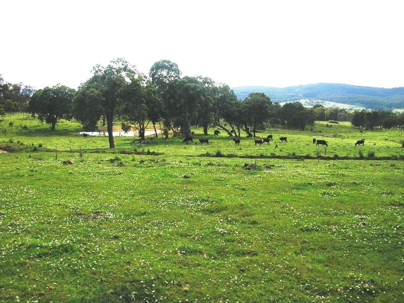 5027 Kings Plains, Wellingrove NSW 2370