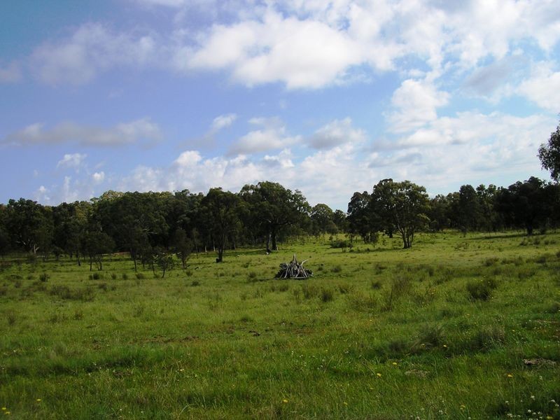 5027 Kings Plains, Wellingrove NSW 2370